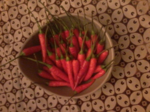 Fresh Red Chillies